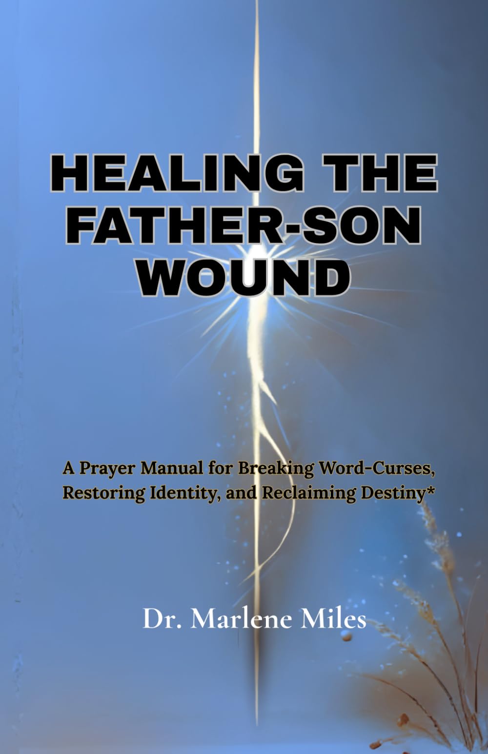 HEALING THE FATHER-SON WOUND: A Prayer Manual for Breaking Word Curses, Restoring Identity and Reclaiming Destiny