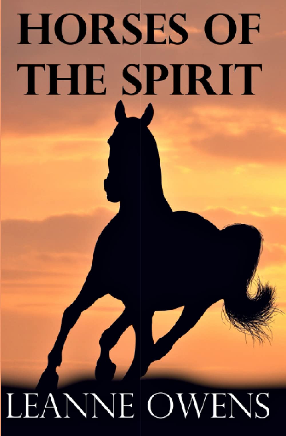 Horses of the Spirit: 5 (The Outback Riders)