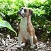 Sandicast Original Size Fawn Boxer with Uncropped Ears Sculpture - Sitting