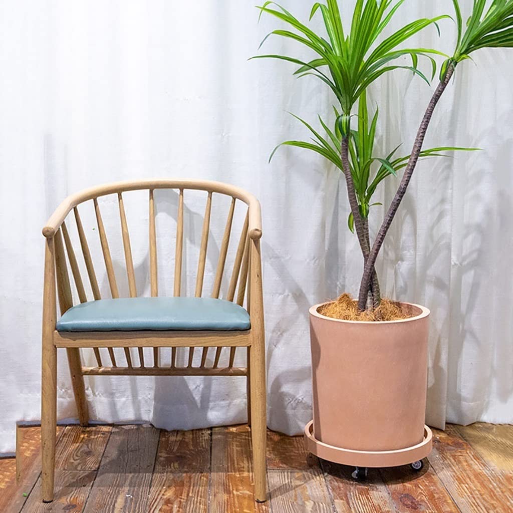 Cedilis Lot De 3 Supports De Plantes En Bambou Avec Roulettes Roulantes, Rouleau Mobile Pour Pot