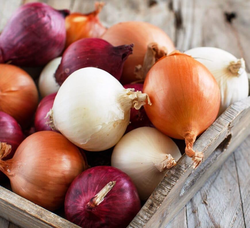 Seeds Onion Giant Variety Mix Heirloom Vegetable for Planting Non GMO
