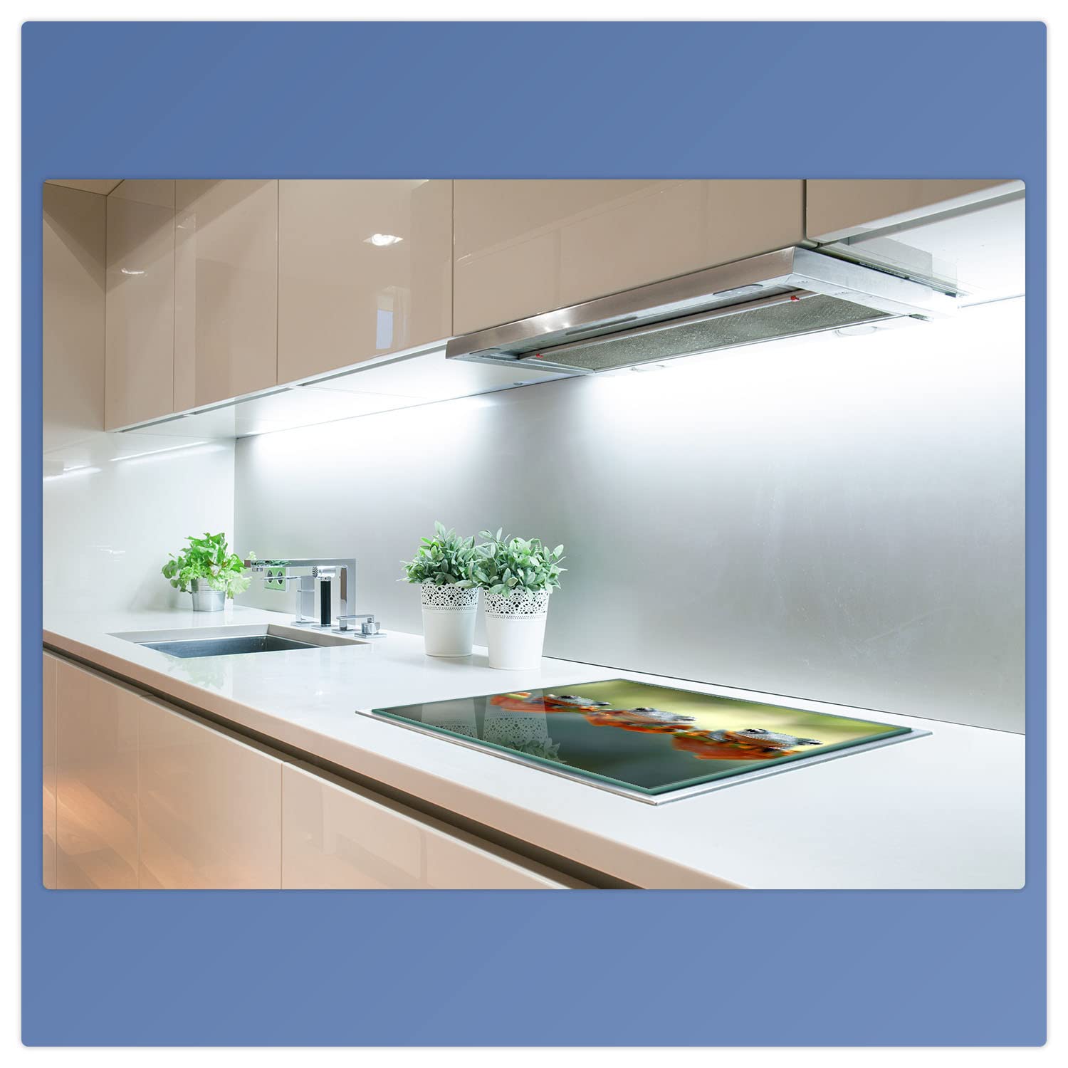 CTC-Trade | fornuis afdekplaten 80x52cm keramische veld afdekking glas spatbescherming afdekplaat glasplaat fornuis keramische veldafdekking fruit ijs rood blauw