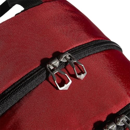 Image of Striker Team Sports Backpack for soccer and more, workout bag for men and women