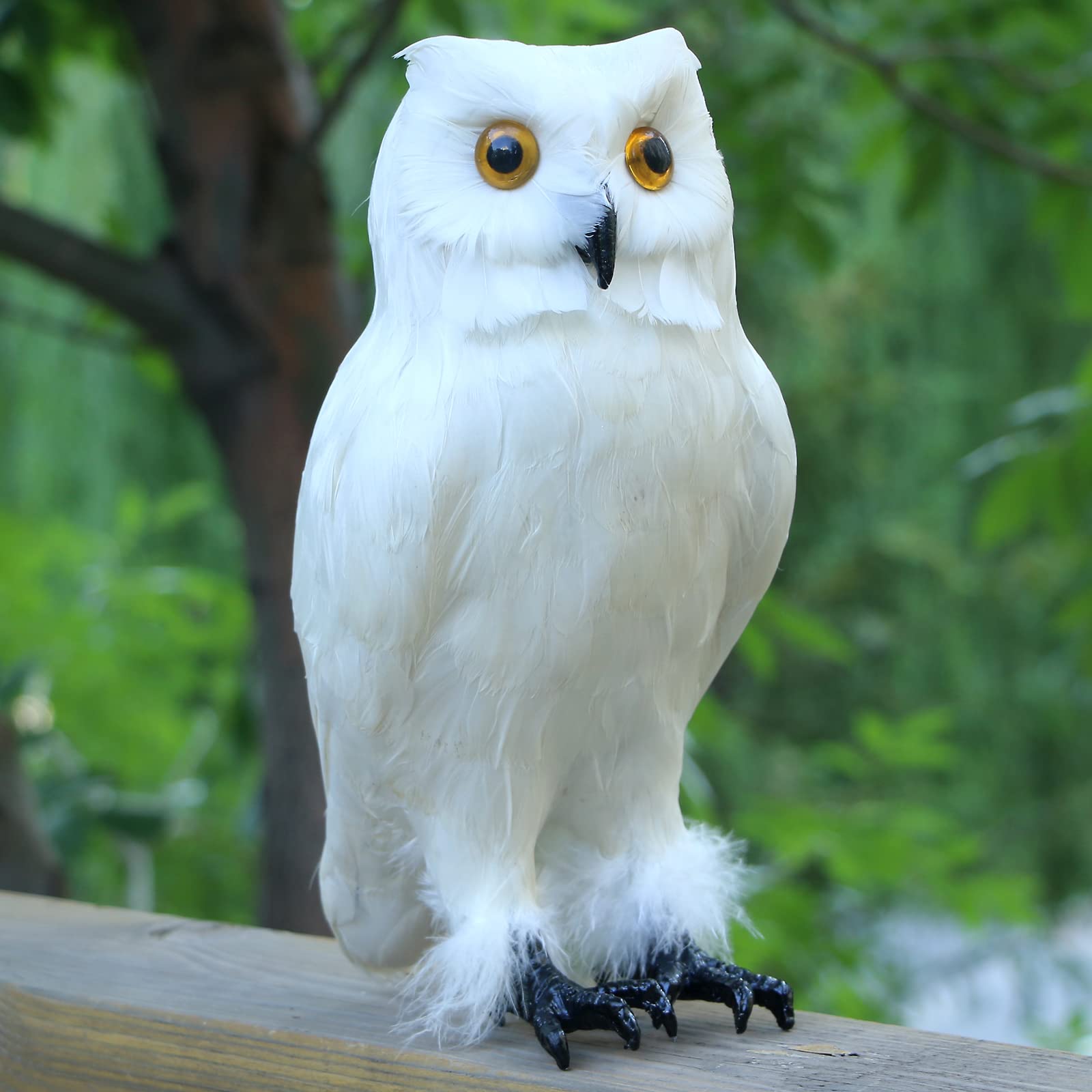 Amazon.co.jp: リアルな白い羽のフクロウの置物 生きているような鳥