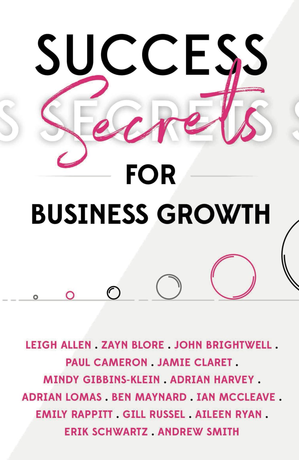 Success Secrets for Business Growth