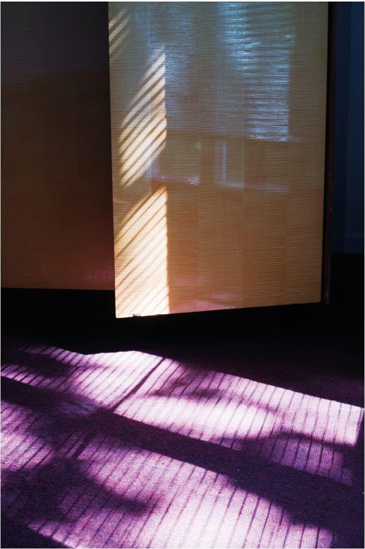 States of Uncertain Domesticities: On the Political in Private Life and the Fragility of the Home