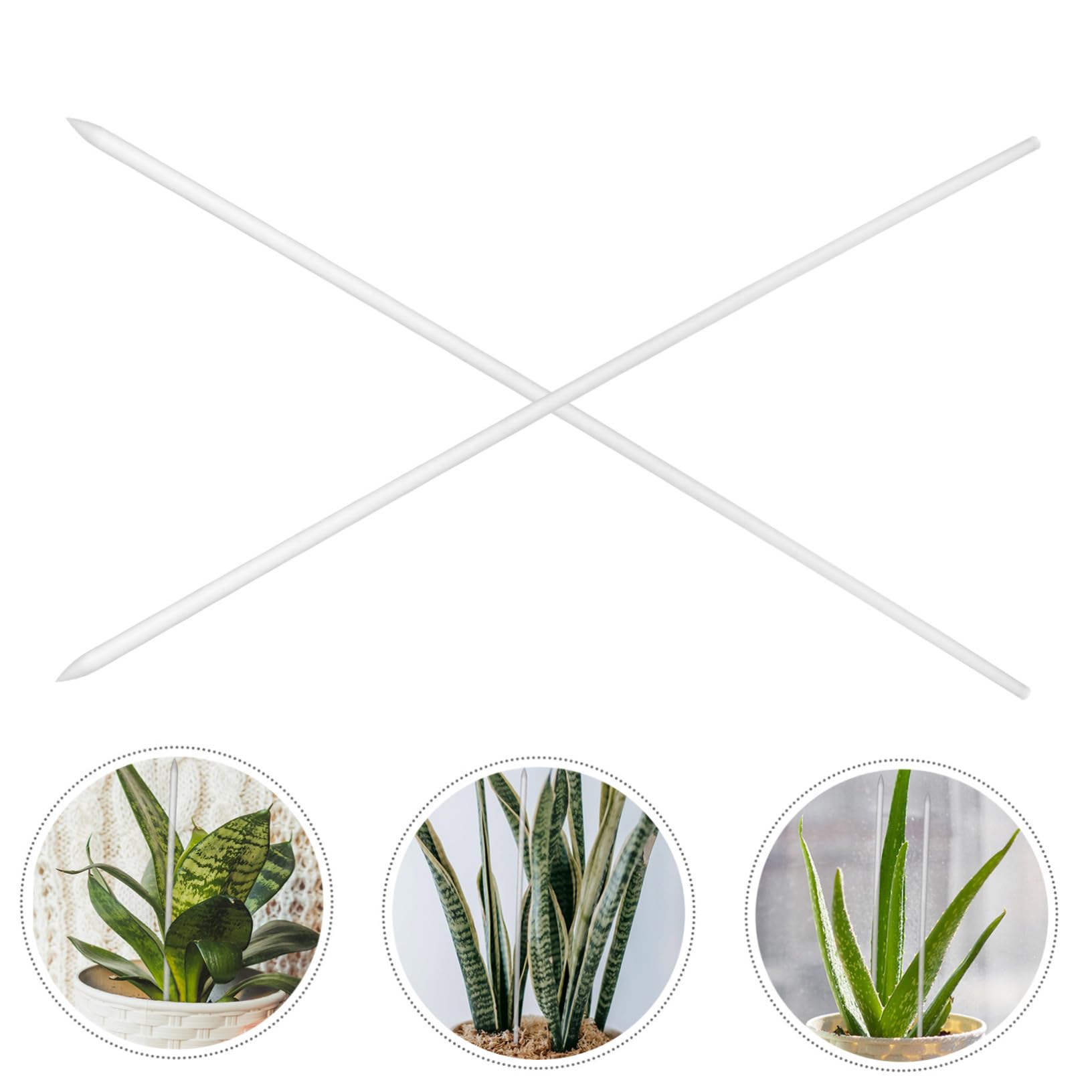 Toddmomy 2 Ensembles Supports De Plantes Transparent pour Plantes Grimpantes Accessoires De Jardin 16 Pièces * 2