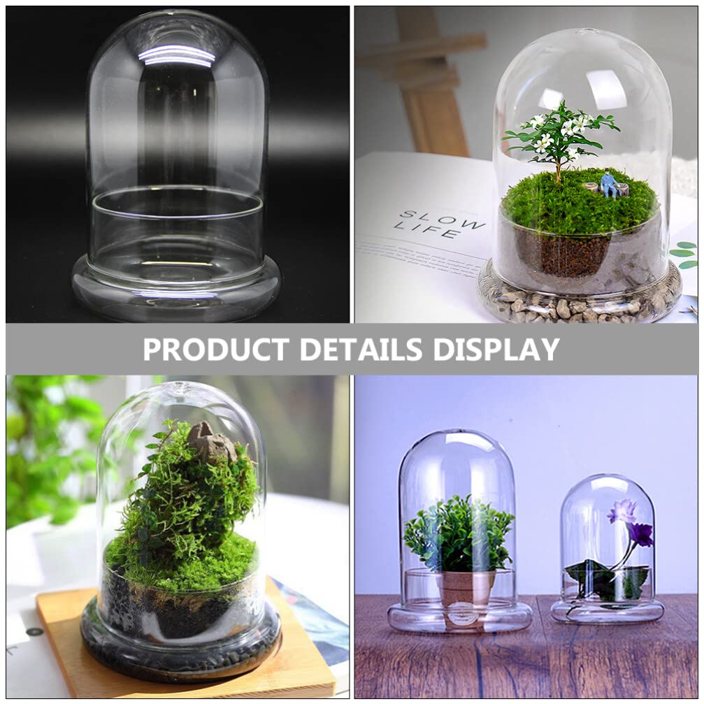 Cabilock Cloche en Verre décorative pour Plantes Terrarium Bougeoir Biosphère Succulentes Bonsaï Décoration de Table