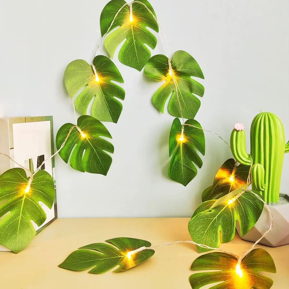 swiss cheese plant Monstera Deliciosa (Swiss Cheese Plant)  Hey Rooted