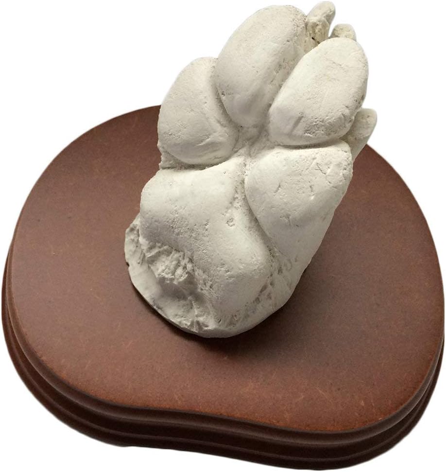 MOLDEARTEBABY UN RECUERDO INOLVIDABLE 3D Hand Sculpture (up to 2 Legs (with Peana), Dog Footprint)