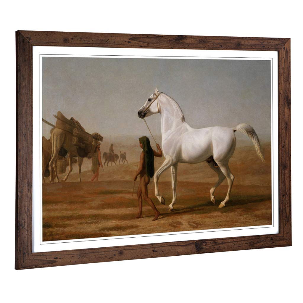 Big Box Art Framed Print of Jacques-Laurent Agasse The Wellesley Grey Arabian Design | Wall Art Picture| Home Decor for Kitchen, Living Room, Bedroom, Hallway, Walnut, A2 / 24.5x18 Inch / 62x45cm