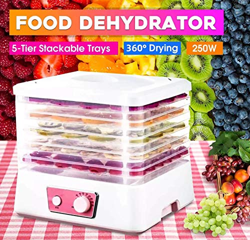Lebensmitteltrockner,250 W Intelligenter Stummer Obst- Und Gemüsedehydrator 5 Tabletts 35-70 ° C, Doppelter… – Bild 3