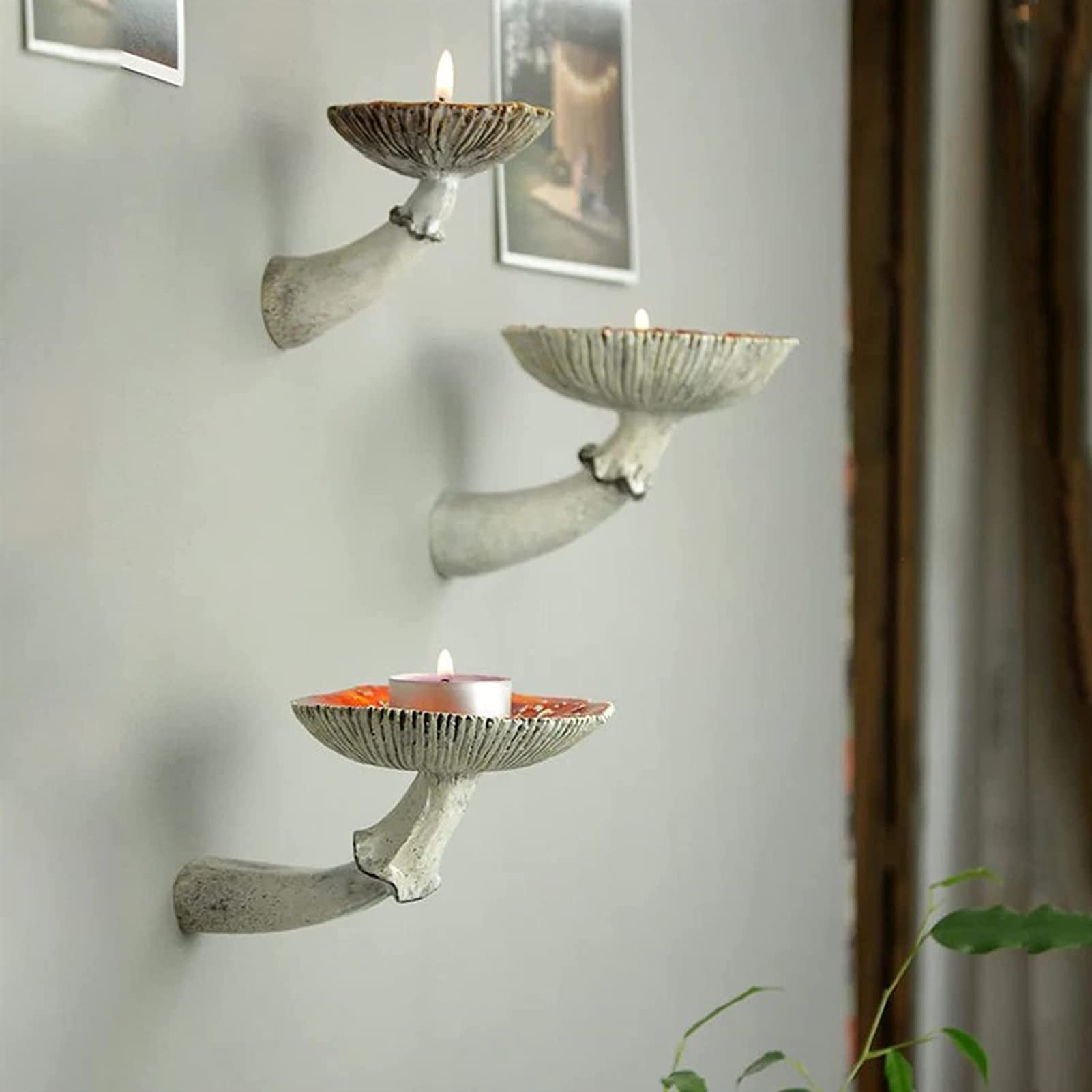 Weduspaty Paddestoel Plank Leuke Paddestoel Muur Drijvende