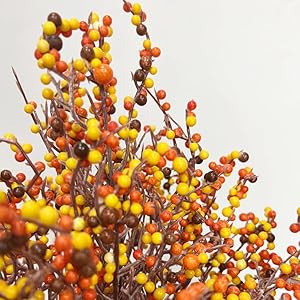 25 Pcs Artificial Berry Picks 10 Inches Fall Picks Orange Fall Berry Stems for Vases Thanksgiving Floral Arrangements Christmas Tree Autumn Harvest Party Decor (Orange) 25 Pcs Artificial Berry Picks 10 Inches Fall Picks Orange Fall Berry Stems for Vases Thanksgiving Floral Arrangements Christmas Tree Autumn Harvest Party Decor Orange