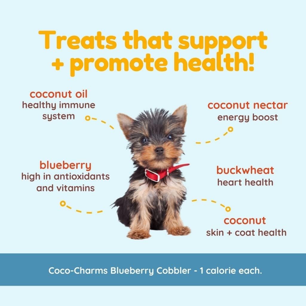 CocoTherapy Blueberry Cobbler Coco-Charms Dog Training Treats, 5 Ounces, Organic, Made in The USA (3 Pack)