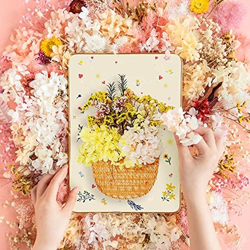 String Art Kit Crafts Kit for Adults and KidsDIY Create A Dried