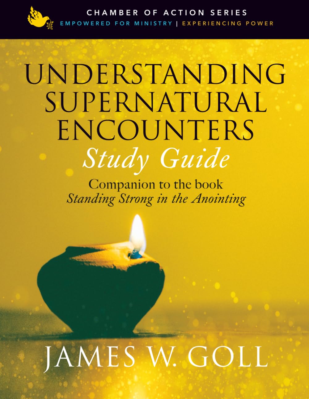 Understanding Supernatural Encounters Study Guide: Companion to the book Standing Strong in the Anointing