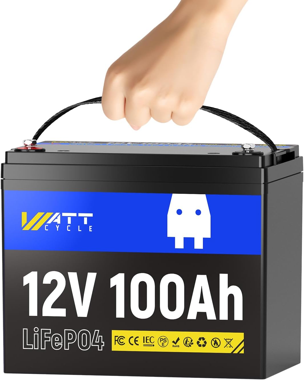 lifepo4 battery