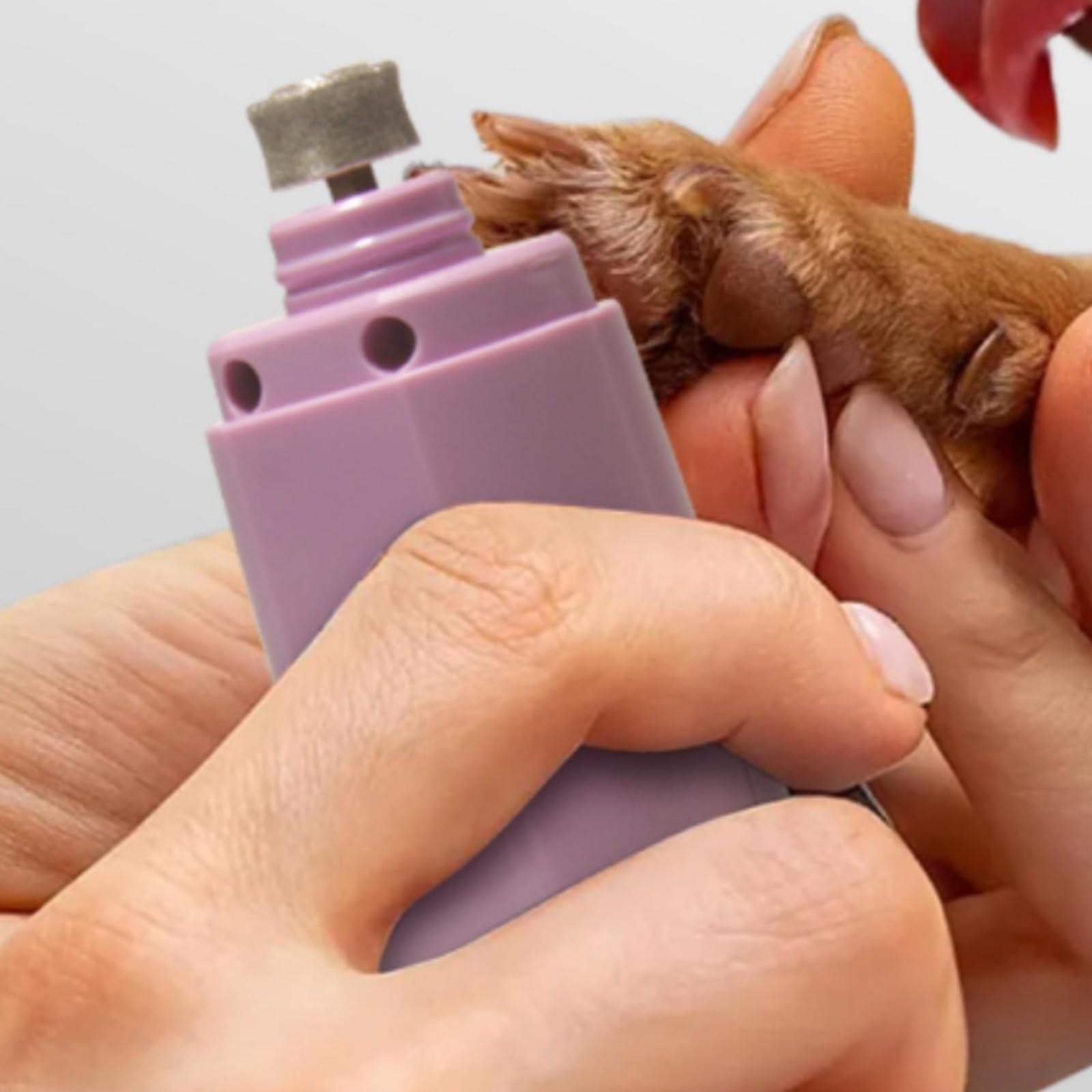 Cortaúñas Eléctrico para Perros y Gatos, color to 2