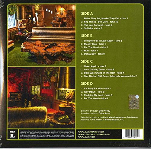 Vista 2 de Way Down In The Jungle Room