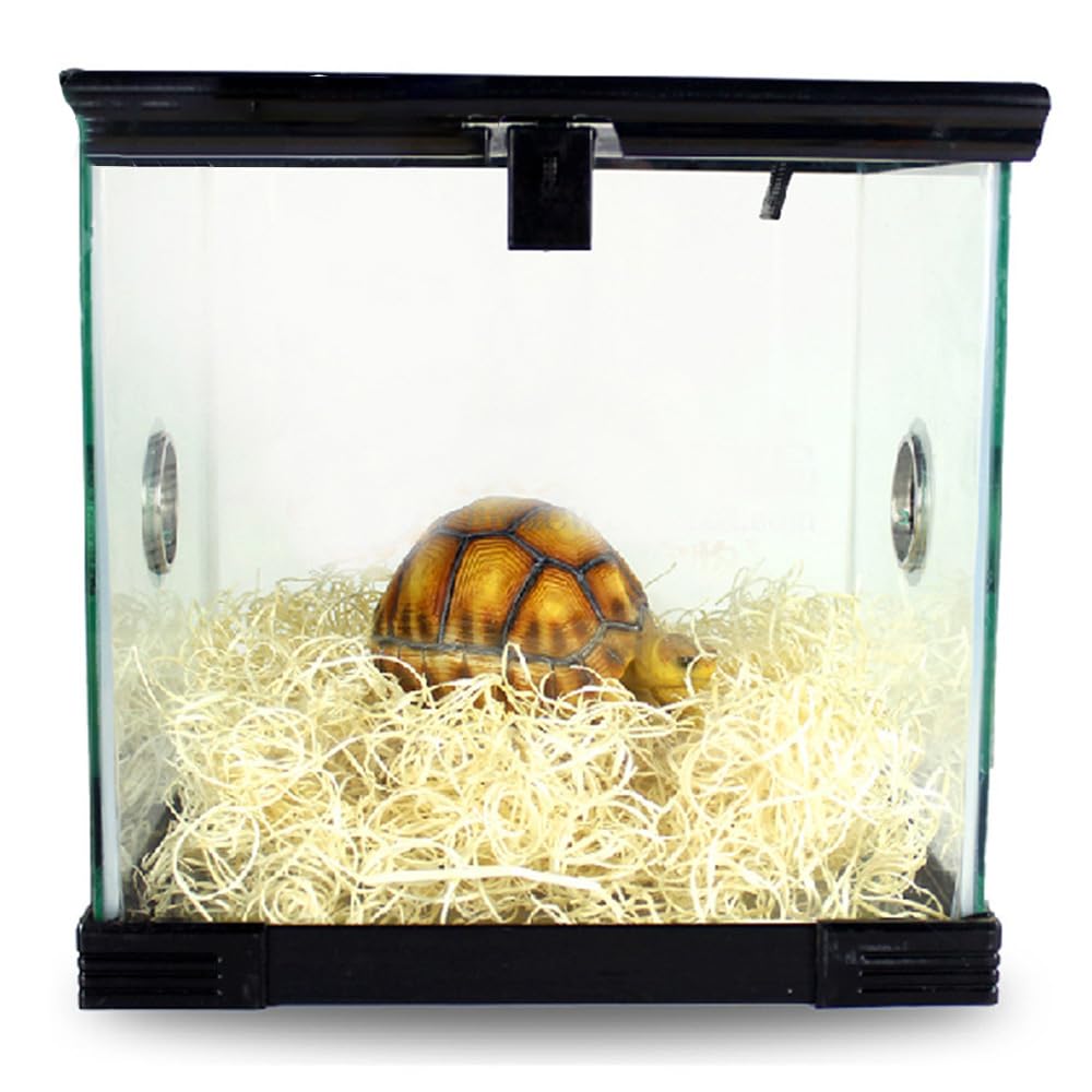 Copeaux de bois de tremble pour reptiles, fibre de bois, raphia, paille naturelle