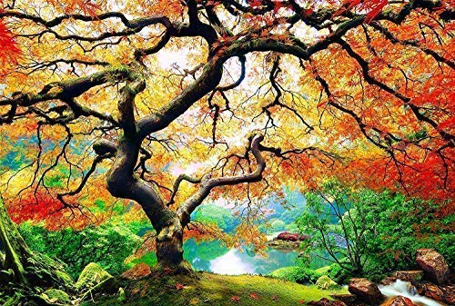 Picma Immagini, Luce nel Buio Quadro su Tela