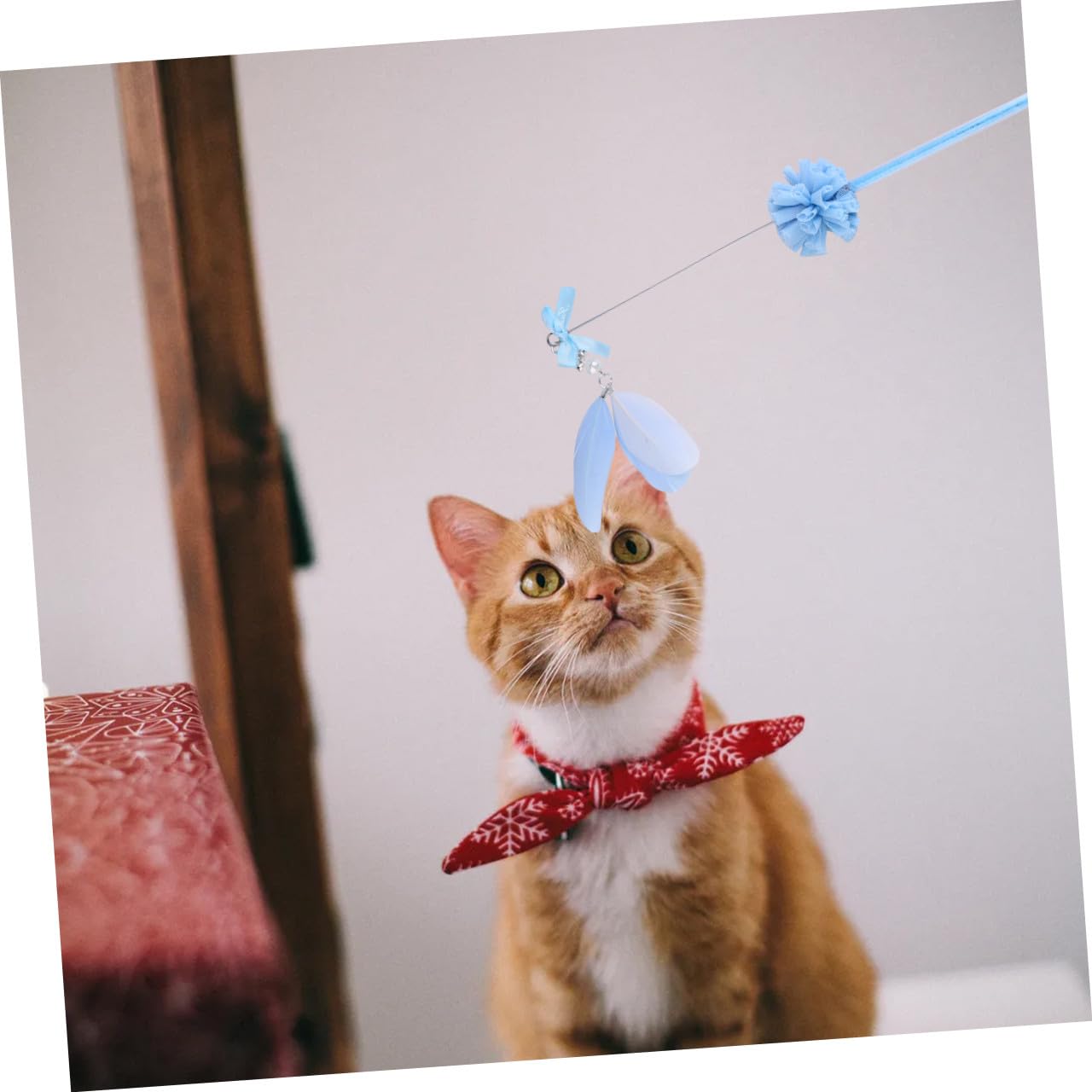 INOOMP 9pezzi Giocattolo Interattivo Per Gatti Con Pendenti Colorati Di Teaser Per Gatti Con Piume e Campanelli Giochi Per Gattini Per Divertimento e Relazione Solida