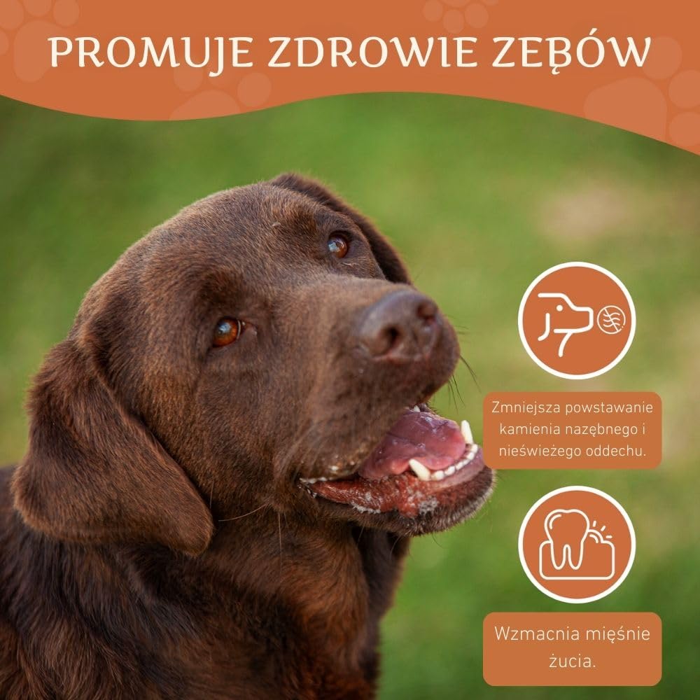 Wildfang® Gryzak z korzenia wrzośca, duży – Nieodpryskująca zabawka dla psów o silnej potrzebie gryzienia Naturalny gryzak na ząbkowanie Zdrowie zębów i dziąseł psa (dla psów 25–45 kg), 3 szt.