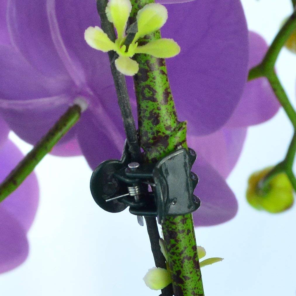 RONYOUNG Lot De 200 Clips Pour Orchidée De Jardin - Vert