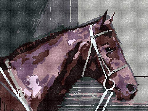 Pepita Needlepoint kit: Stella, 12