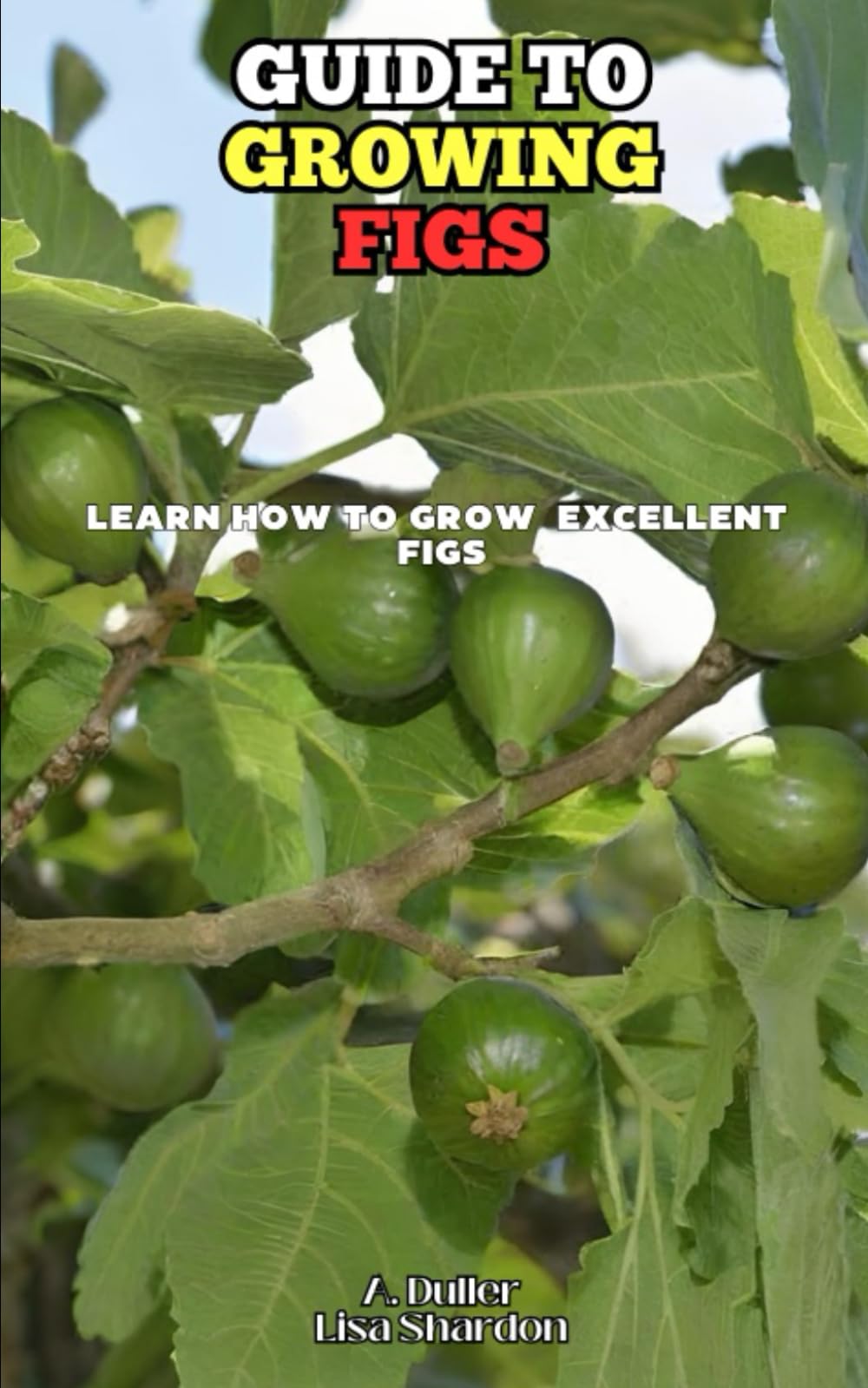 Guide to growing Figs: Learn how to grow excellent Figs
