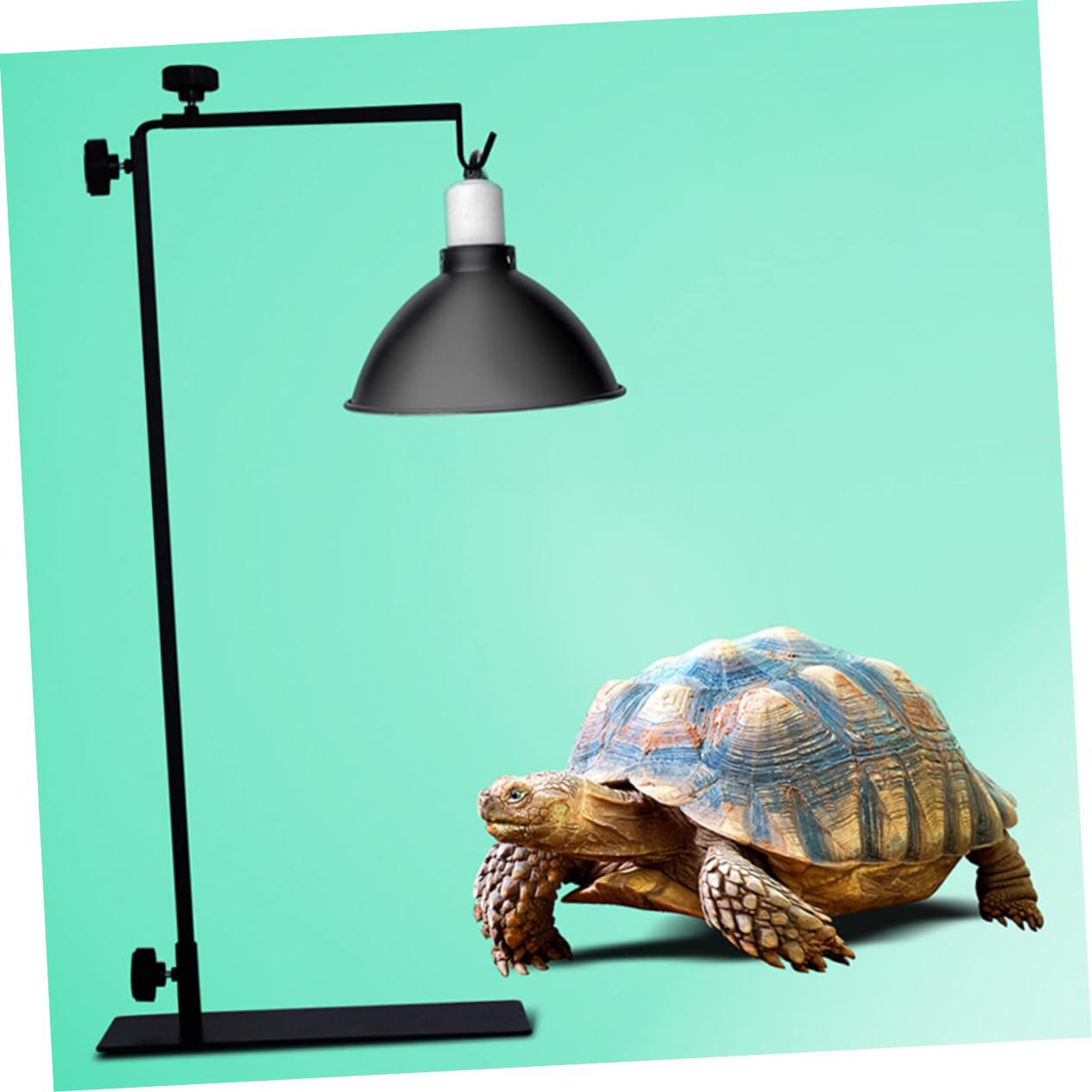 Mikikit Supporto per Lampada in Metallo per Rettili, Regolabile e Pratico, Alta Resistenza, per Terrari e Riscaldamento di Piccoli Animali