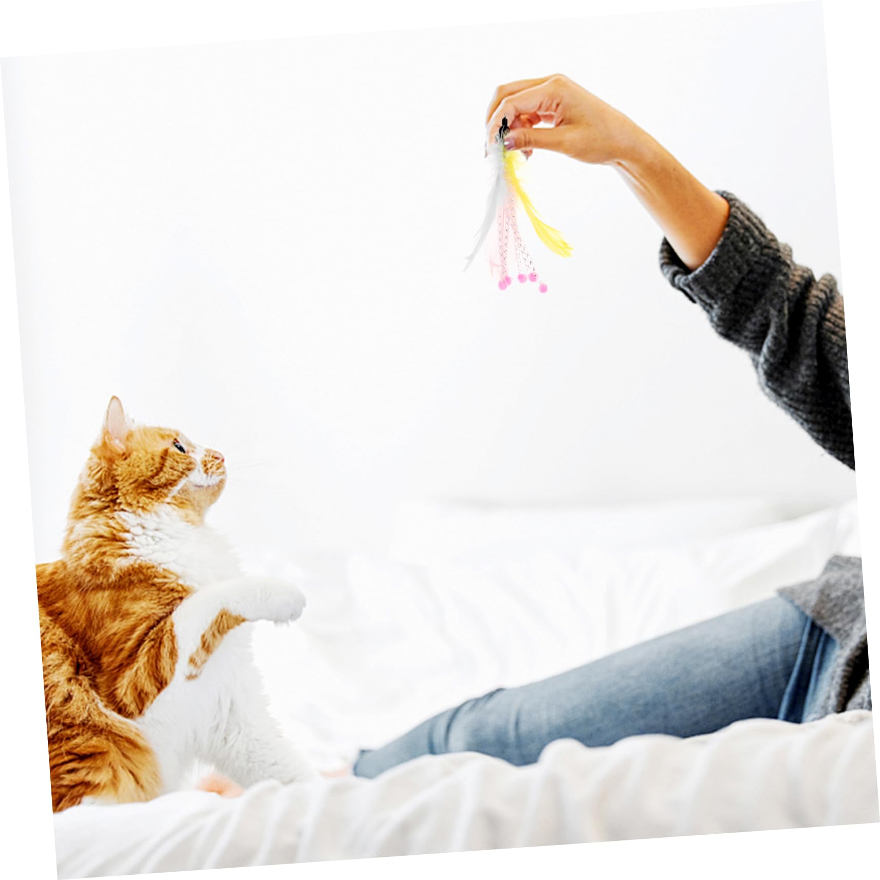 SUPVOX Lot De 4 Jouets pour Chat De Rechange pour Jouer 8 Pièces X 4