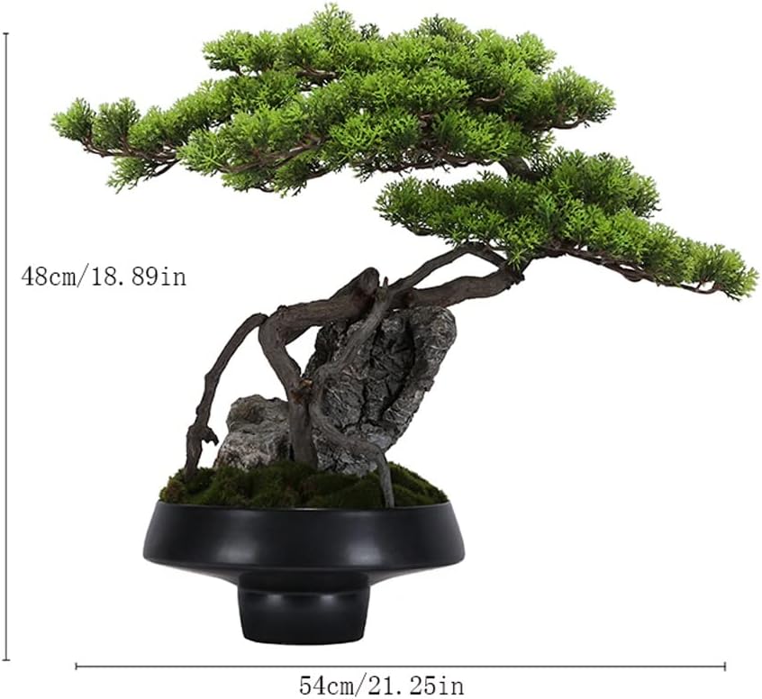 宮様楓盆栽値下げ根上がり紅葉盆栽 楓盆栽！貴重品 宮様カエデの超ミニ盆栽