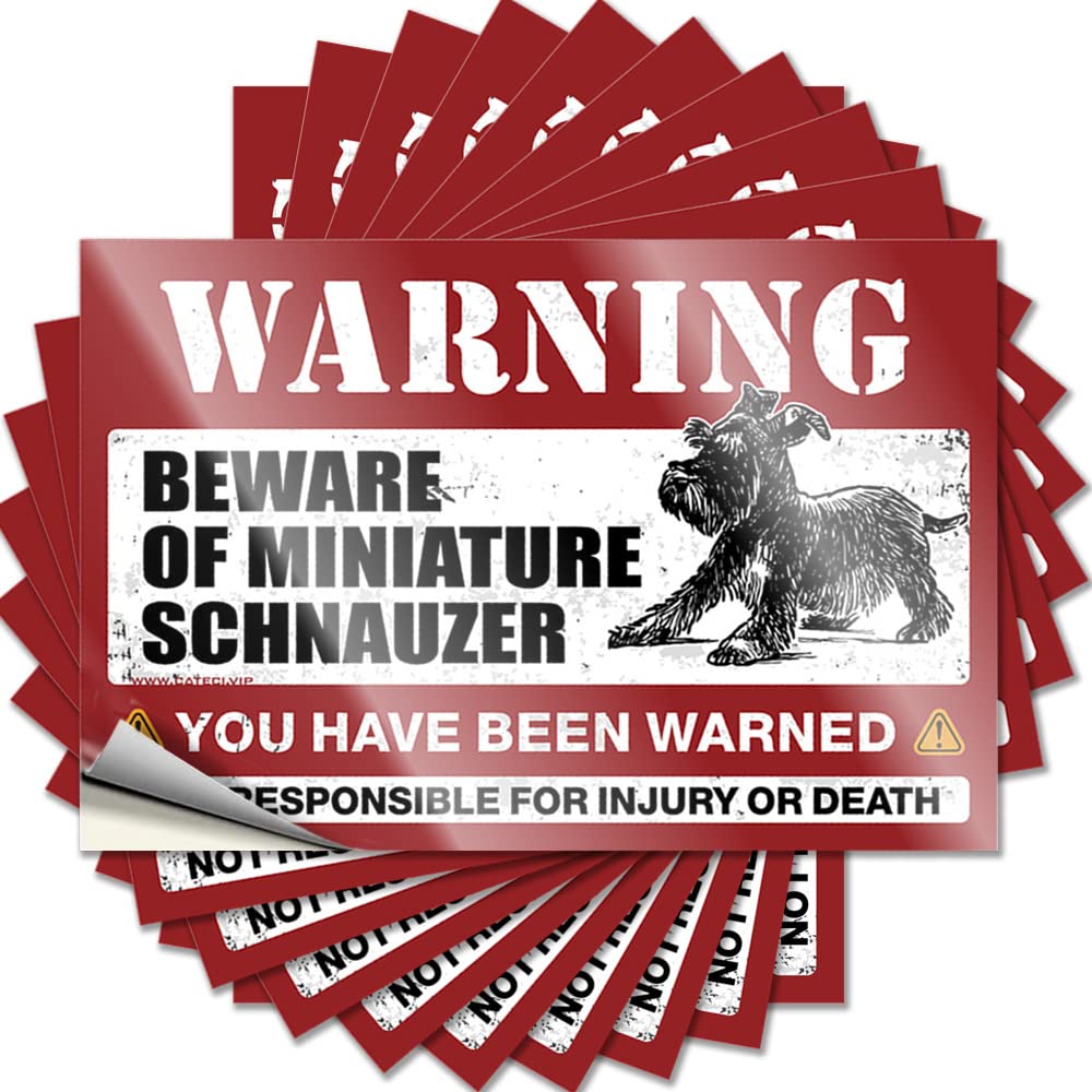 Lettering Sticker Positive Farmhouse Porch Decor Waterproof - Beware of Miniature Schnauzer Hat Self Adhesive Decal for Autumn Use(8X12CM)