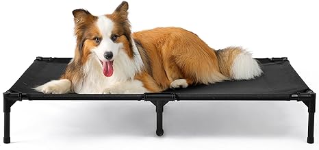 Elevated Dog Cot Beds for Large Dogs