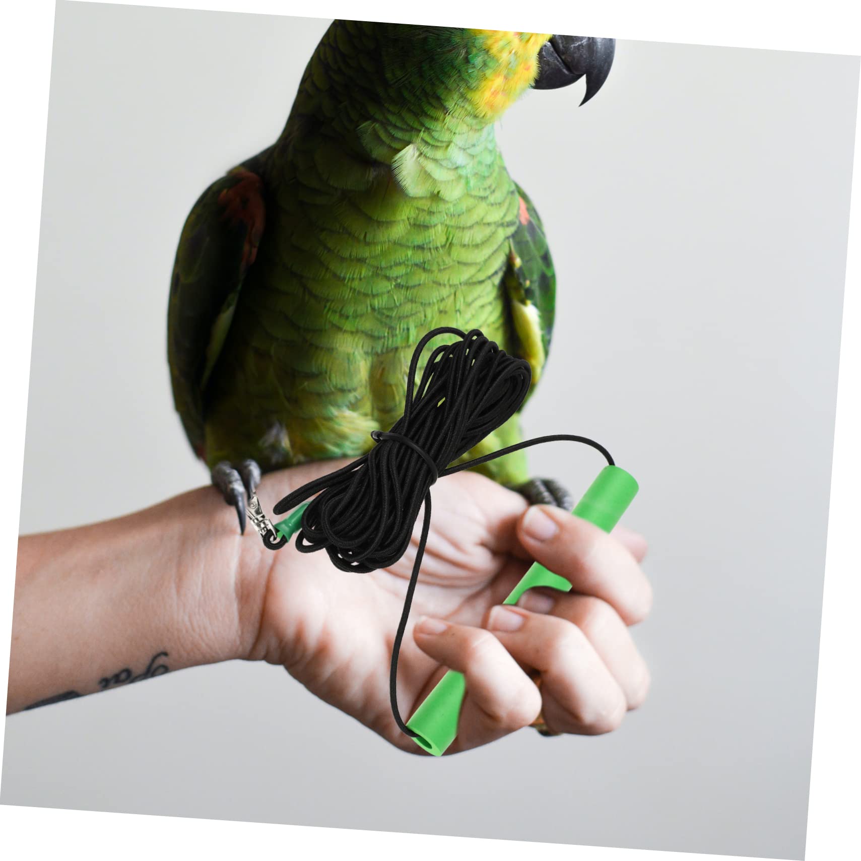 COLLBATH Arnés y para Pájaros Cuerda De Entrenamiento Antimordedura para y Pequeñas para y Entrenamiento De Aves