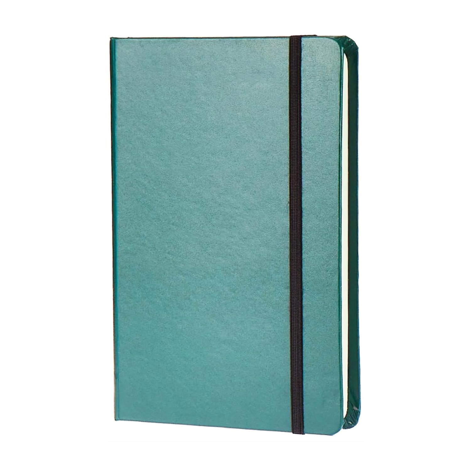 Amazon Basics Hard Bound Sketch Book | A5 Size, 160 Pages | 100 GSM Acid-Free Paper | Durable Hardcover with Elastic Strap | Ideal for Drawing, Sketching, Shading, Fine Art, Portrait, School & Professional Use (B0DB1QZZBY) Amazon Price History, Amazon Price Tracker