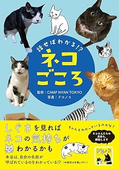 61flD-x831L._AC_UF350,