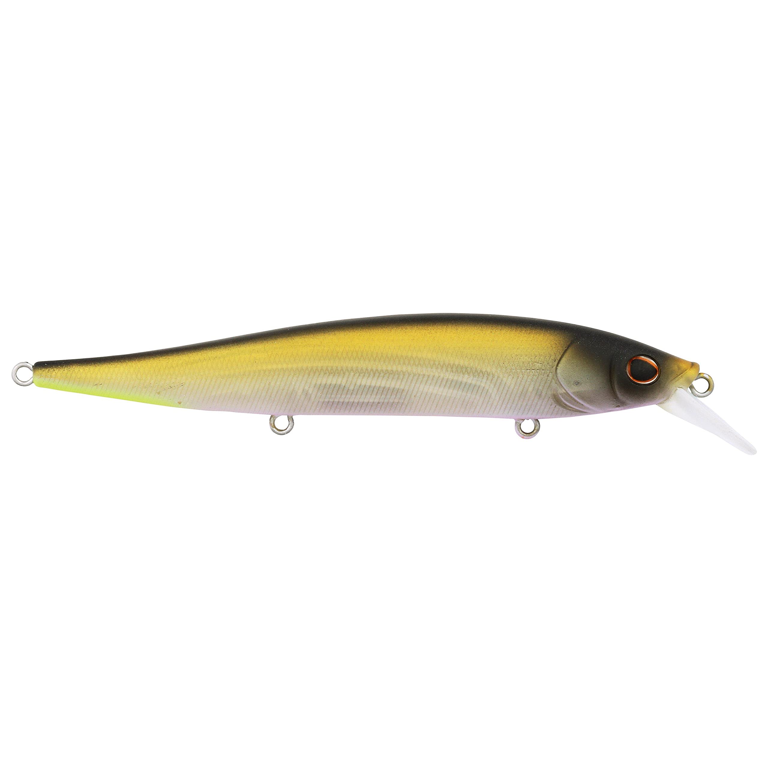 BerkleyStunna Fishing Hard Bait