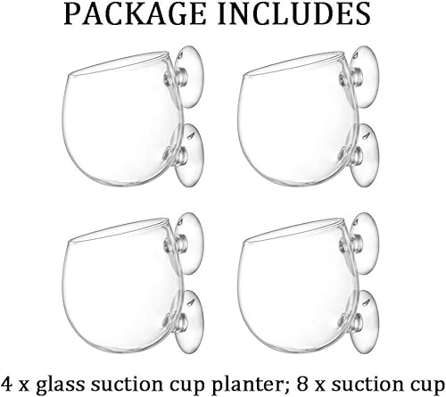 Miniatura 5 de Macetero con ventosa, 4 piezas de ventosa magnética para acuario, florero de cristal, decoración de pecera para acuario Aquascape