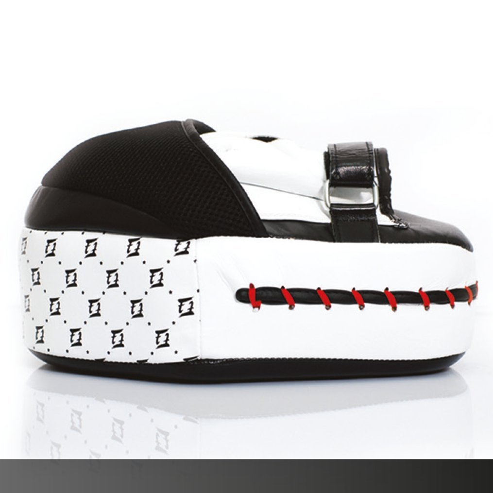 Amazon | Fairtex FMV11 Aero Focus Mitts - Punch Pads Training Muay