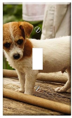 Switch Plate Single Toggle - My Dogs The Field Armenia Quindio 10