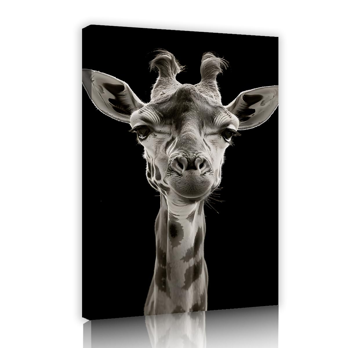 Via Vela Boys Fbh06 Realistic Wildlife Canvas Wall Art Black White Giraffe Portrait Cute Animal Face Poster Gallery Framed For Bedroom Playroom Nursery Kids Room Decor 70X105cm