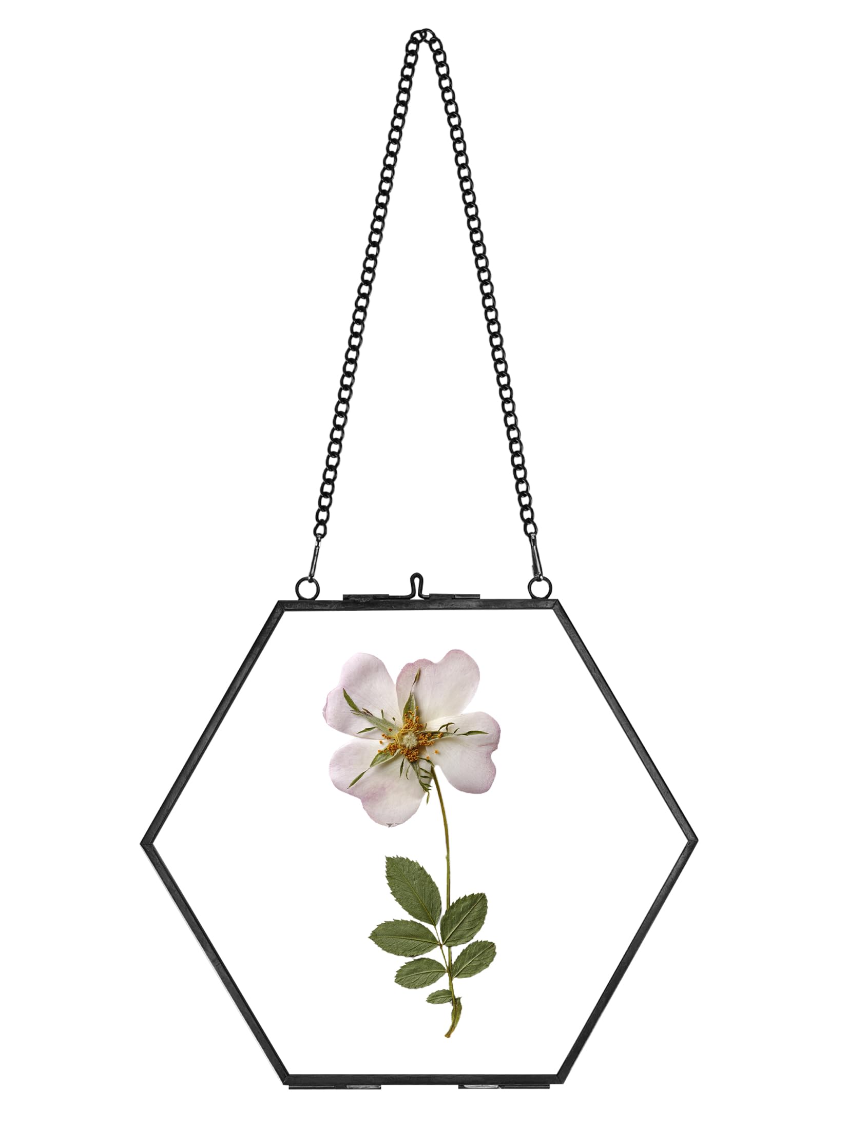 REDHUGO Glass Pressed Flower Frame Handmade, Double Glass Frame for Pressed Flowers Brass Floating Picture Frames, Wall Hanging Picture Frame for Dried Flowers Home Wall, Hexagon, Black (FRAME ONLY)