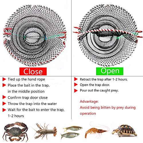 Drasry Crab Trap Bait Lobster Crawfish Shrimp Portable Folded Cast Net Magic Collapsible Fishing Traps Nets Accessories for Blue Crabs 2PCS 23.6in x 11.8in Black (0.39 in Mesh) by Drasry - Image 2
