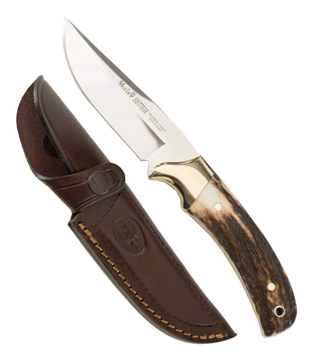 Muela Cuchillo SETTER-11A hoja de acero ACX-380 de 11 cm y empuñadura de asta de ciervo para Caza, Pesca, Supervivencia y Bushcraft Realizado en Ciudad Real + Portabotellas de regalo
