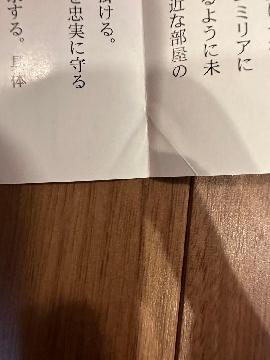 ★即時発送、Re:ゼロから始める異世界生活、レムの乙女心は超複雑★ ☆即時発送、Re:ゼロから始める異世界生活、レムの乙女心は超