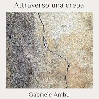 Attraverso una crepa cover art