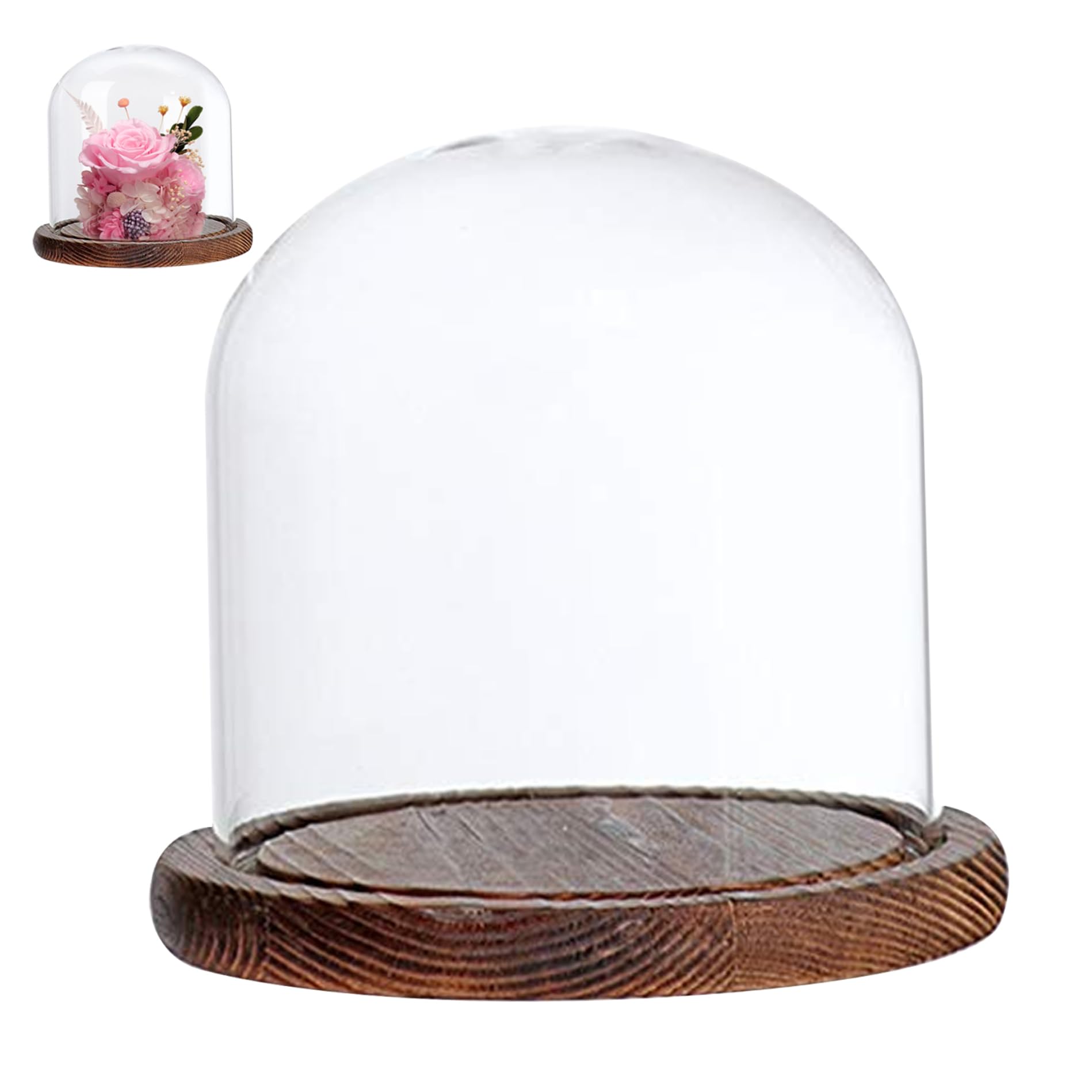 Cloche en verre rétro pour sublimer votre table basse de café ou maison